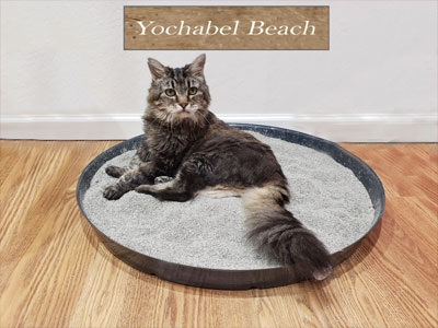 YochBeachLYS